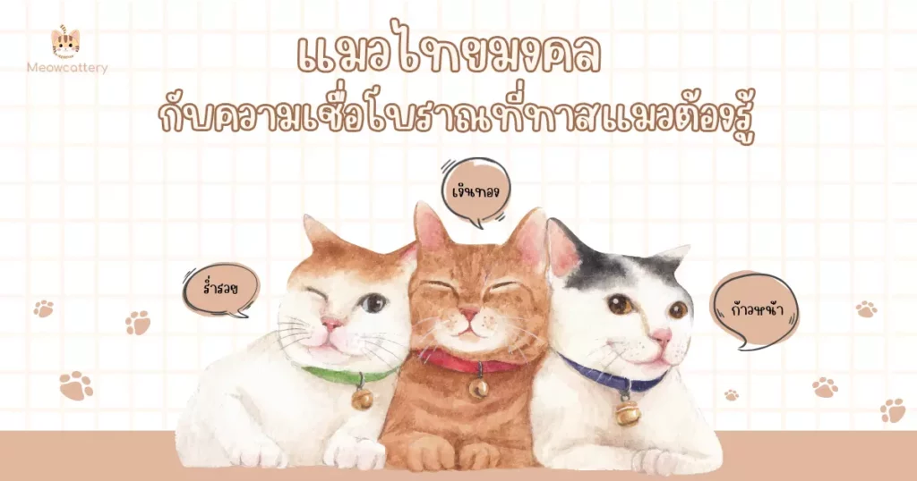 แมวไทยมงคล กับความเชื่อโบราณที่ทาสแมวต้องรู้